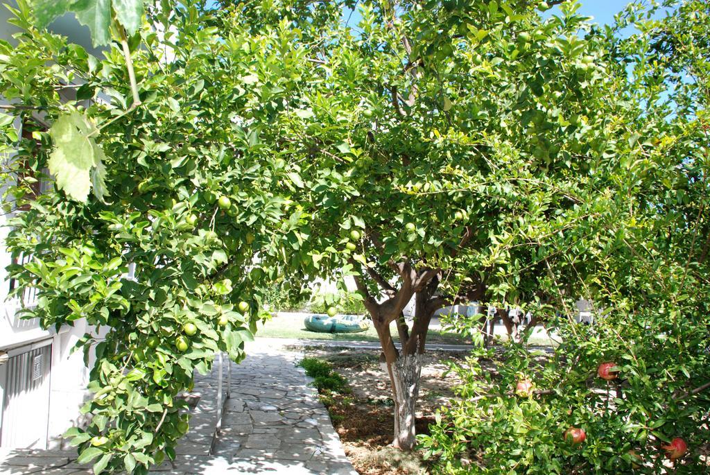 Ferienwohnung Kostas Family House Káto Ássos Exterior foto